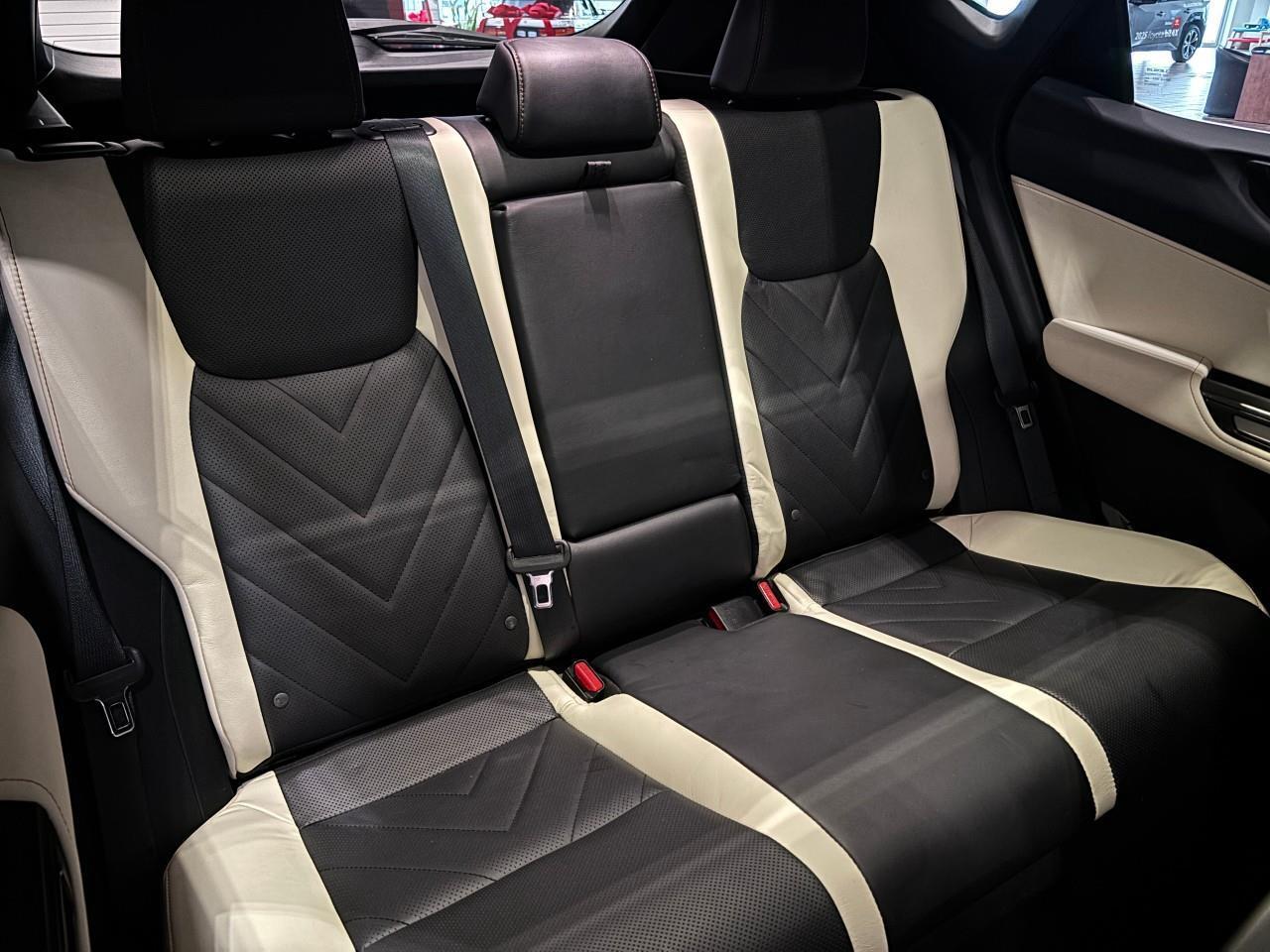 2024 Lexus NX 350h  Photo