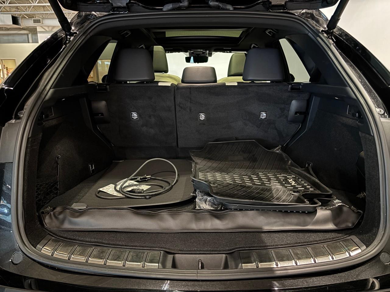 2024 Lexus NX 350h  Photo