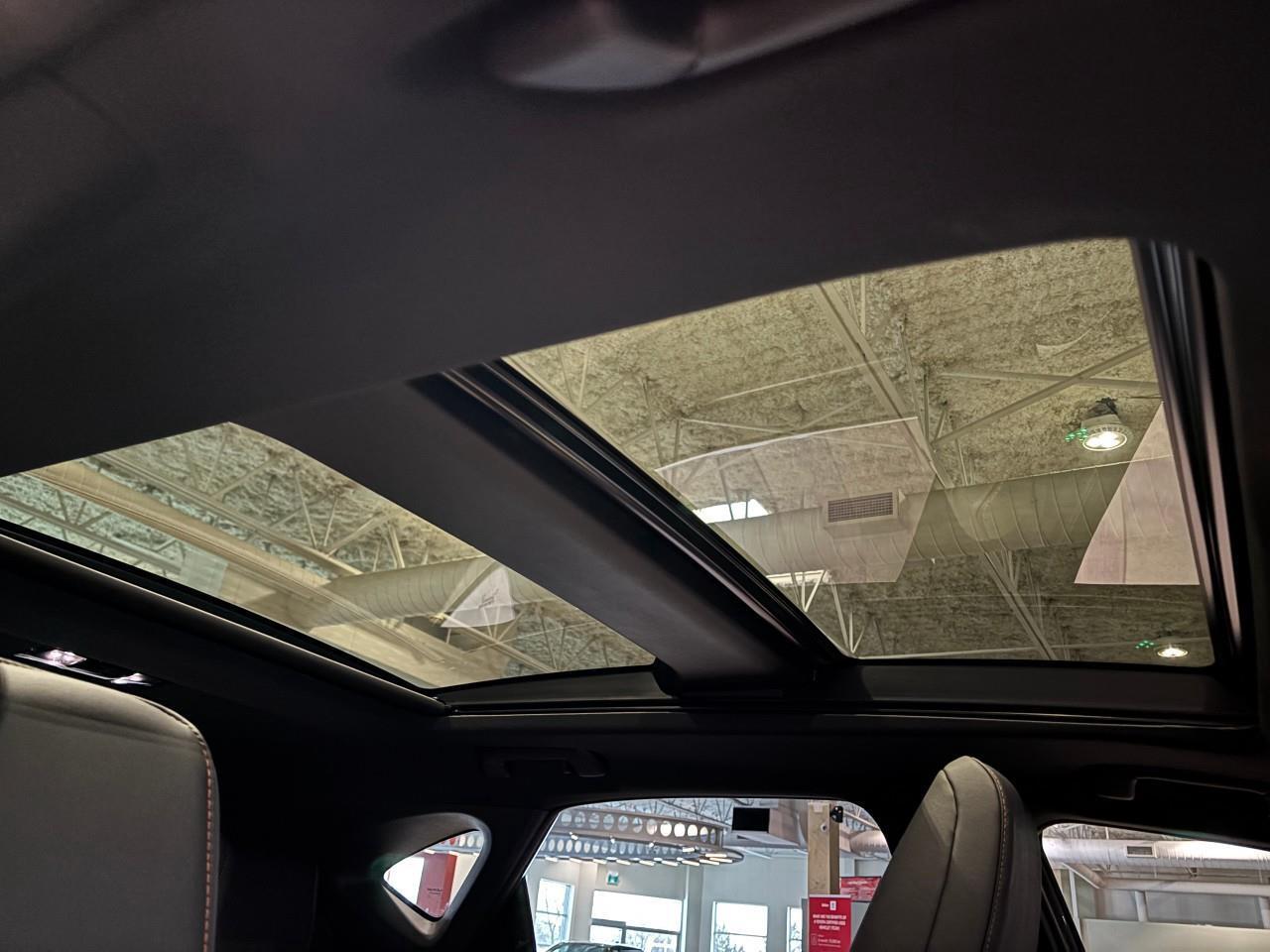 2024 Lexus NX 350h  Photo