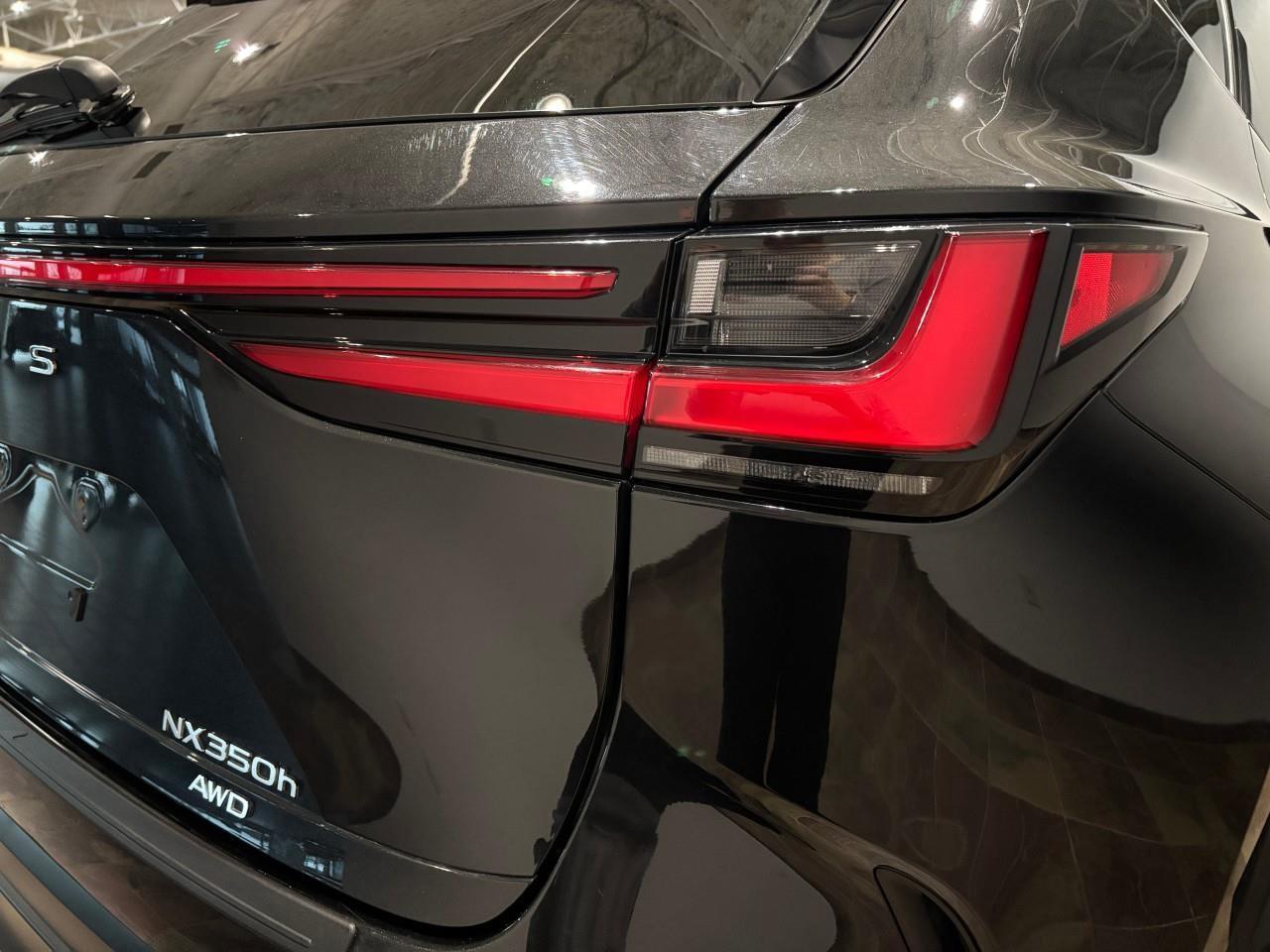 2024 Lexus NX 350h  Photo