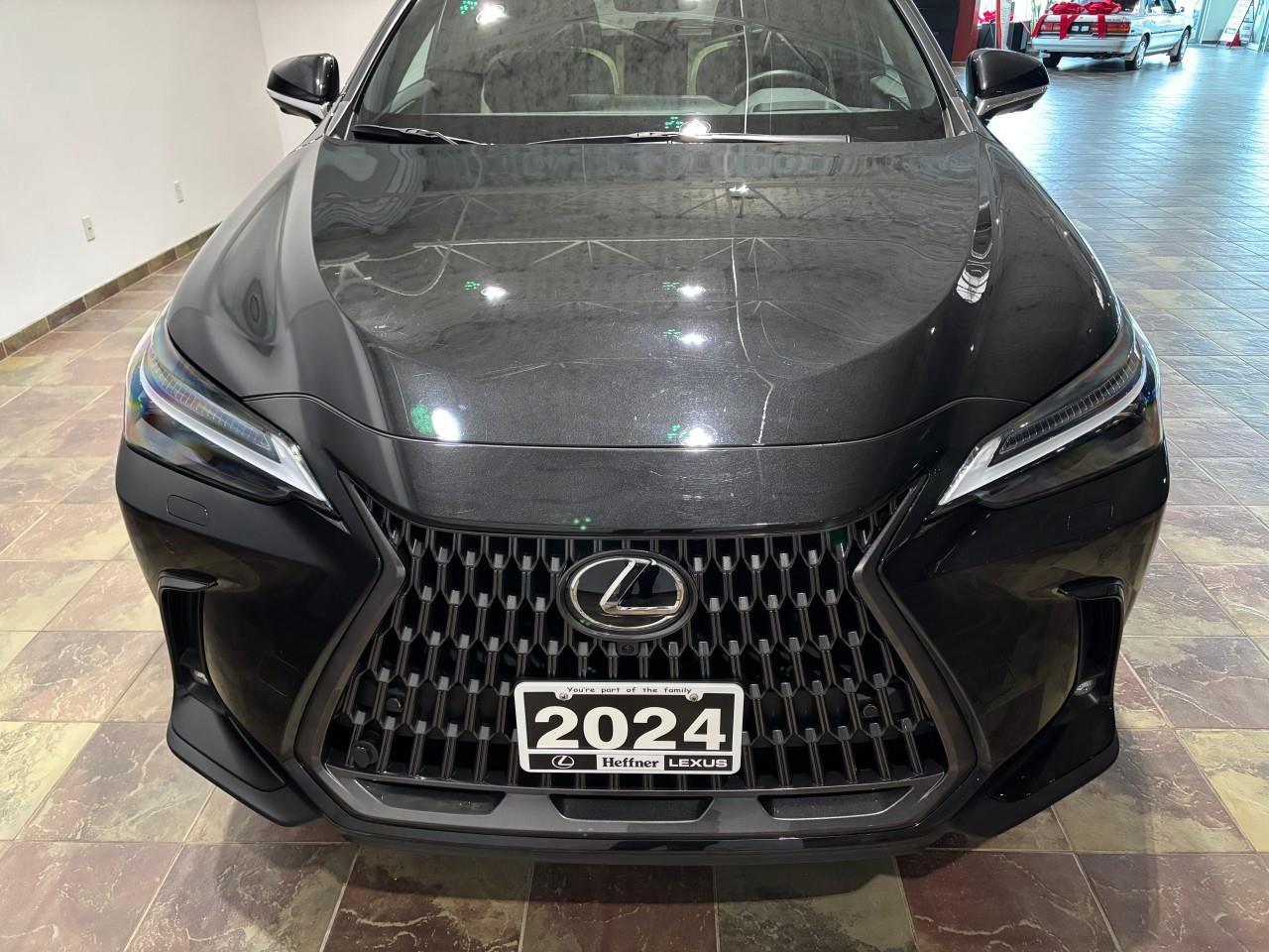 2024 Lexus NX 350h  Photo