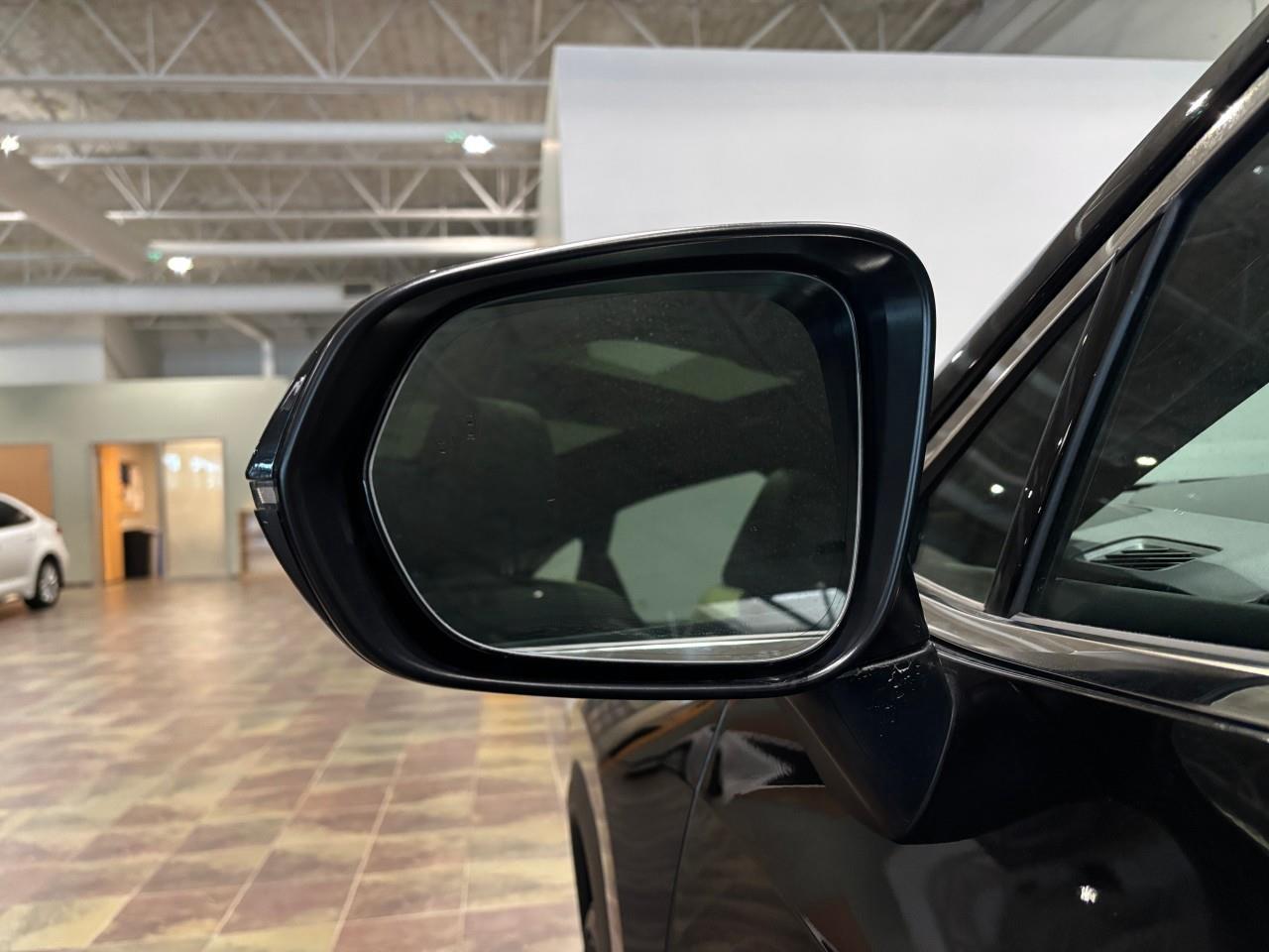 2024 Lexus NX 350h  Photo