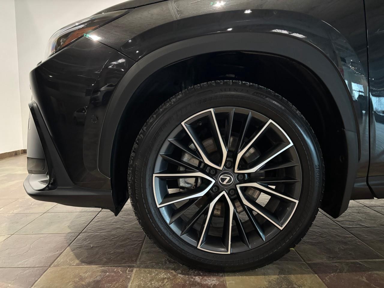 2024 Lexus NX 350h  Photo