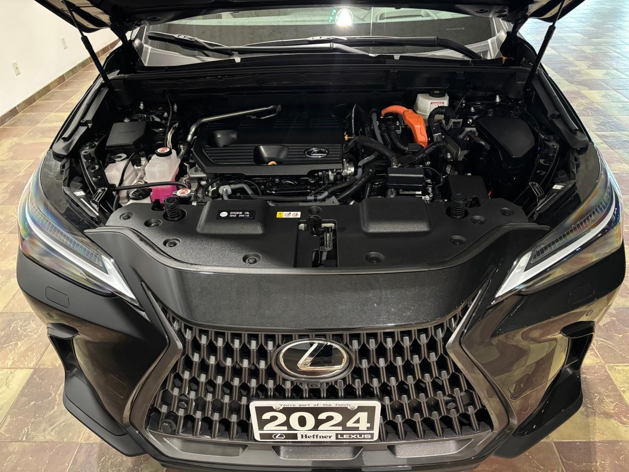 2024 Lexus NX 350h  Photo