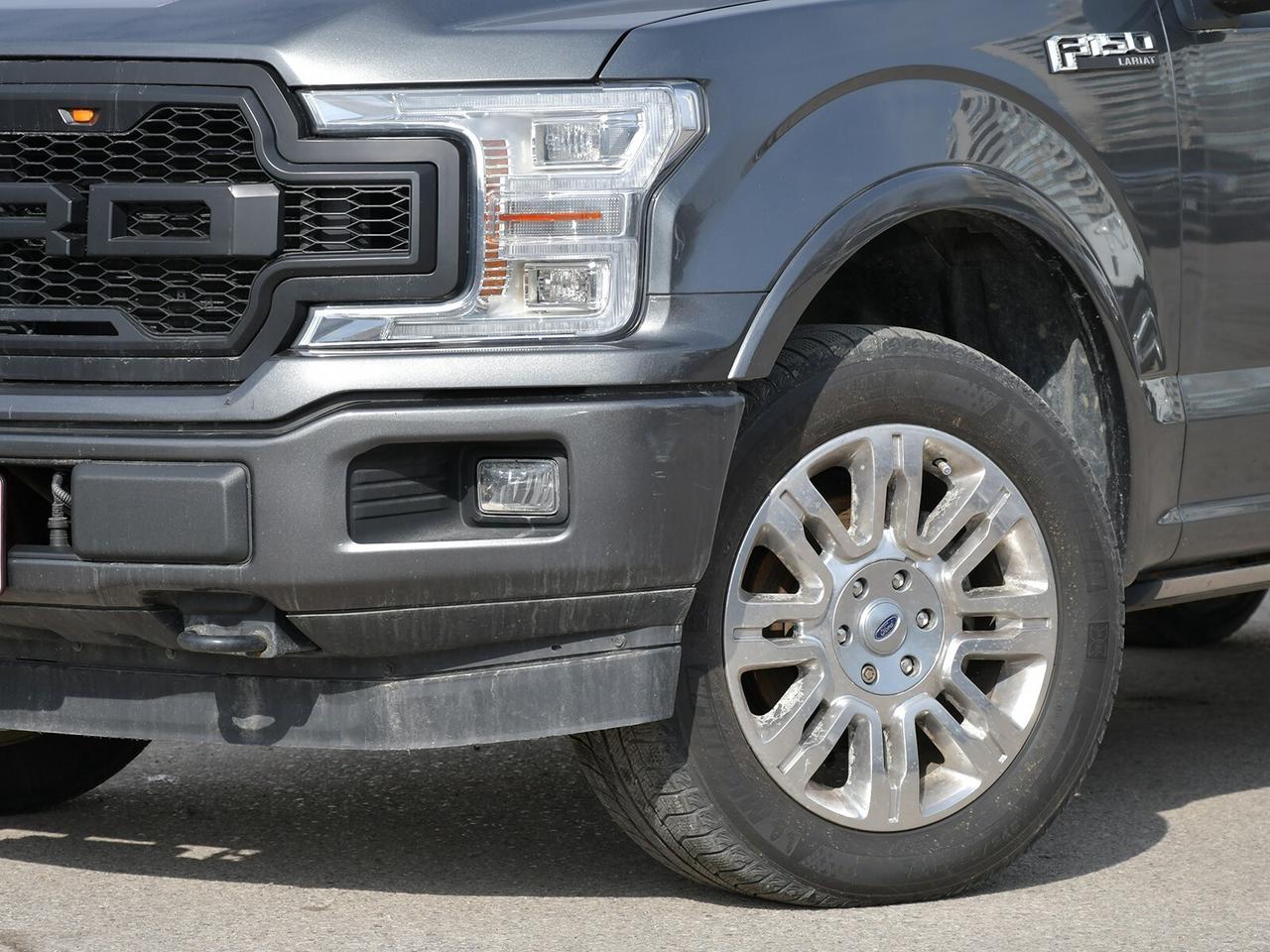 2019 Ford F-150  Photo