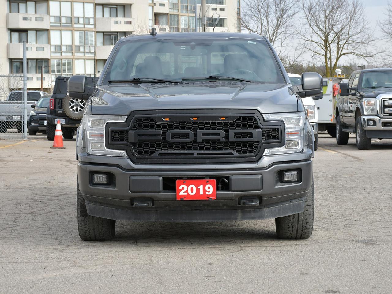 2019 Ford F-150  Photo