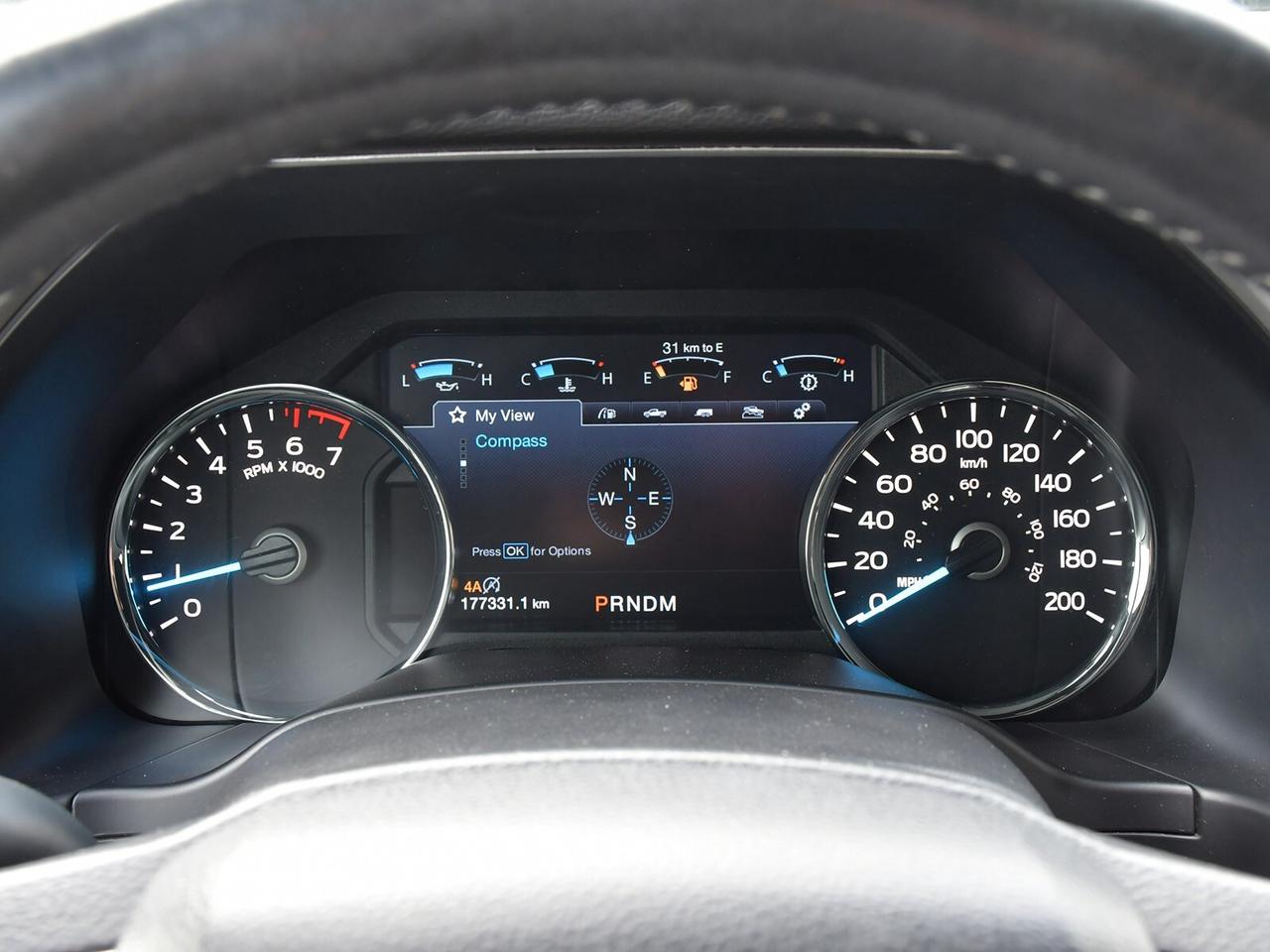 2019 Ford F-150  Photo