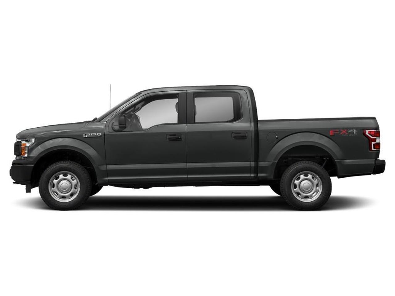 2019 Ford F-150  Photo