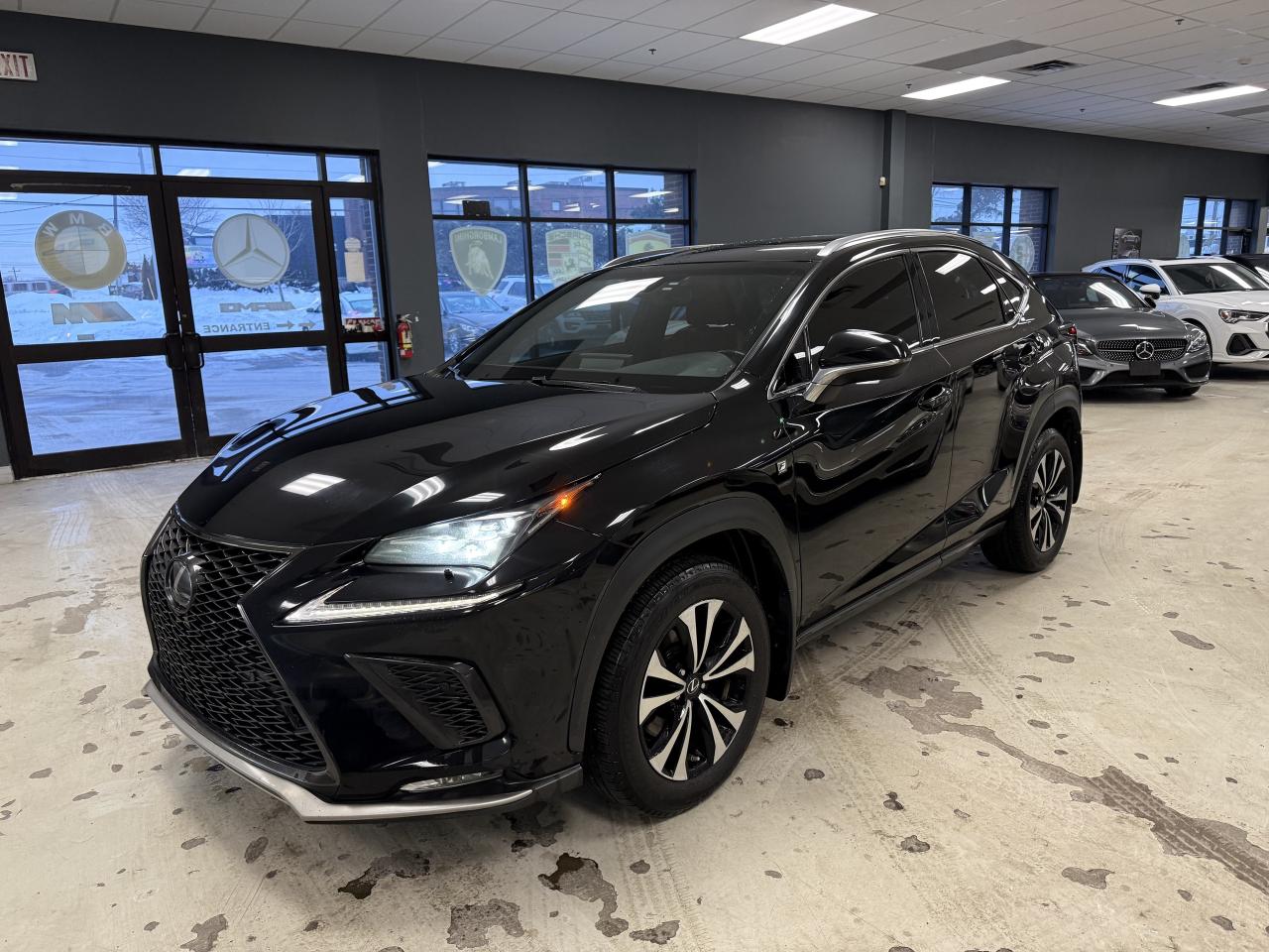 2019 Lexus NX NX 300 Auto Photo