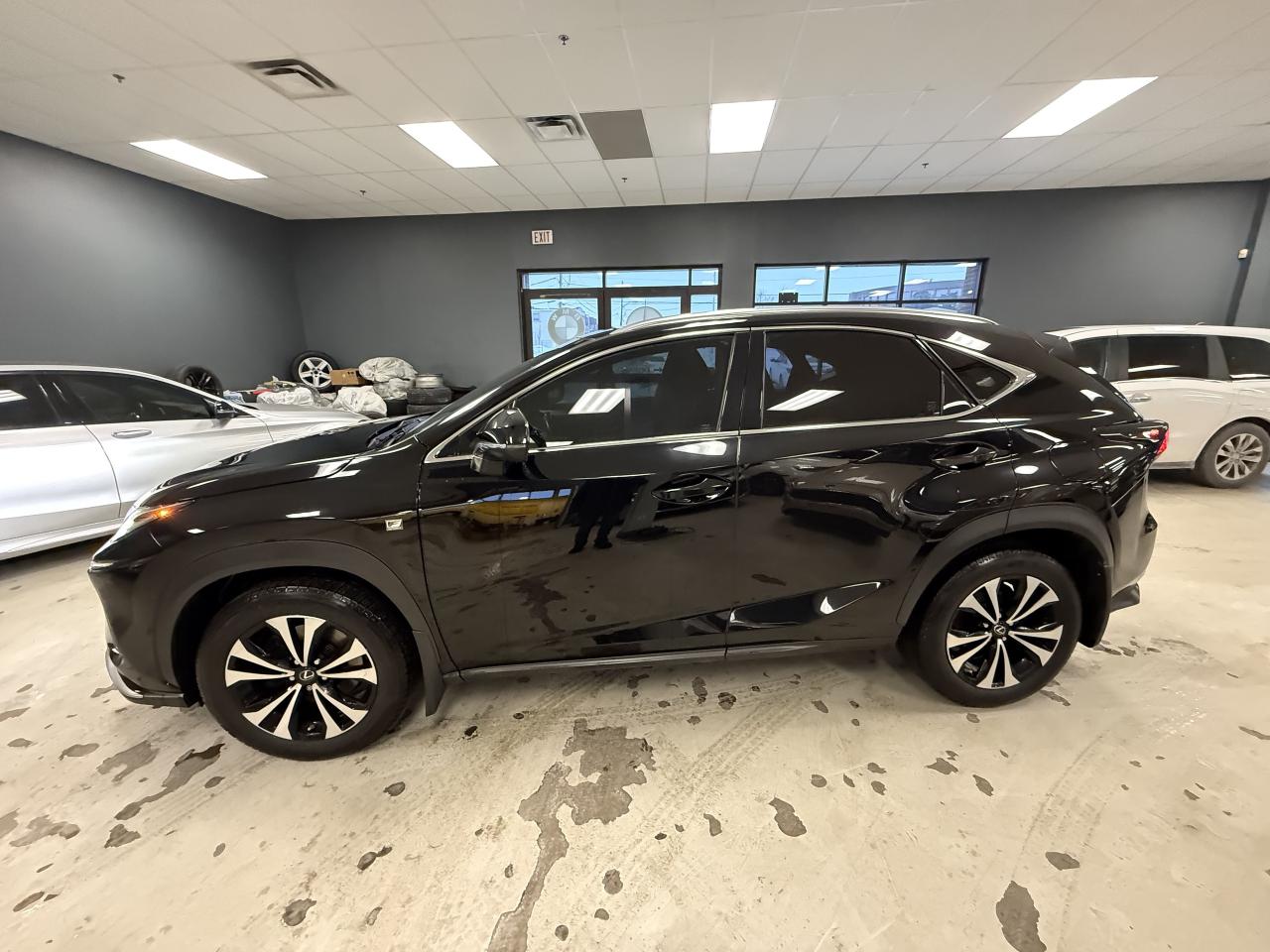 2019 Lexus NX NX 300 Auto Photo