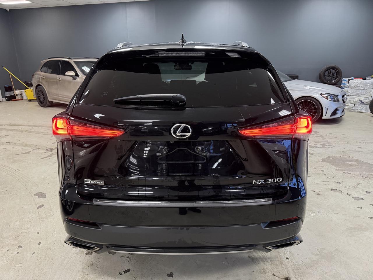 2019 Lexus NX NX 300 Auto Photo