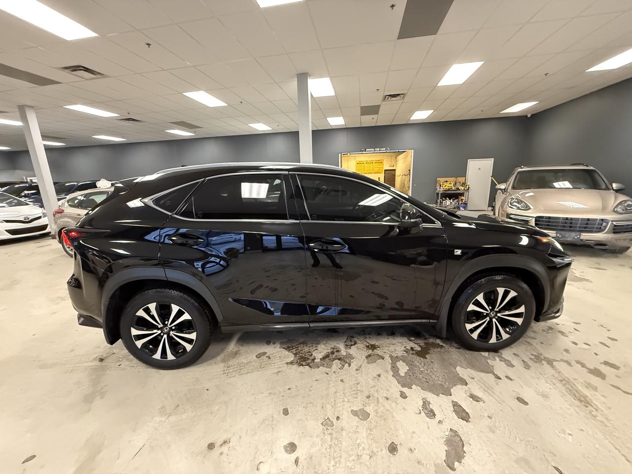 2019 Lexus NX NX 300 Auto Photo