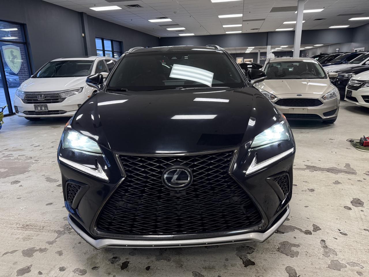 2019 Lexus NX NX 300 Auto Photo
