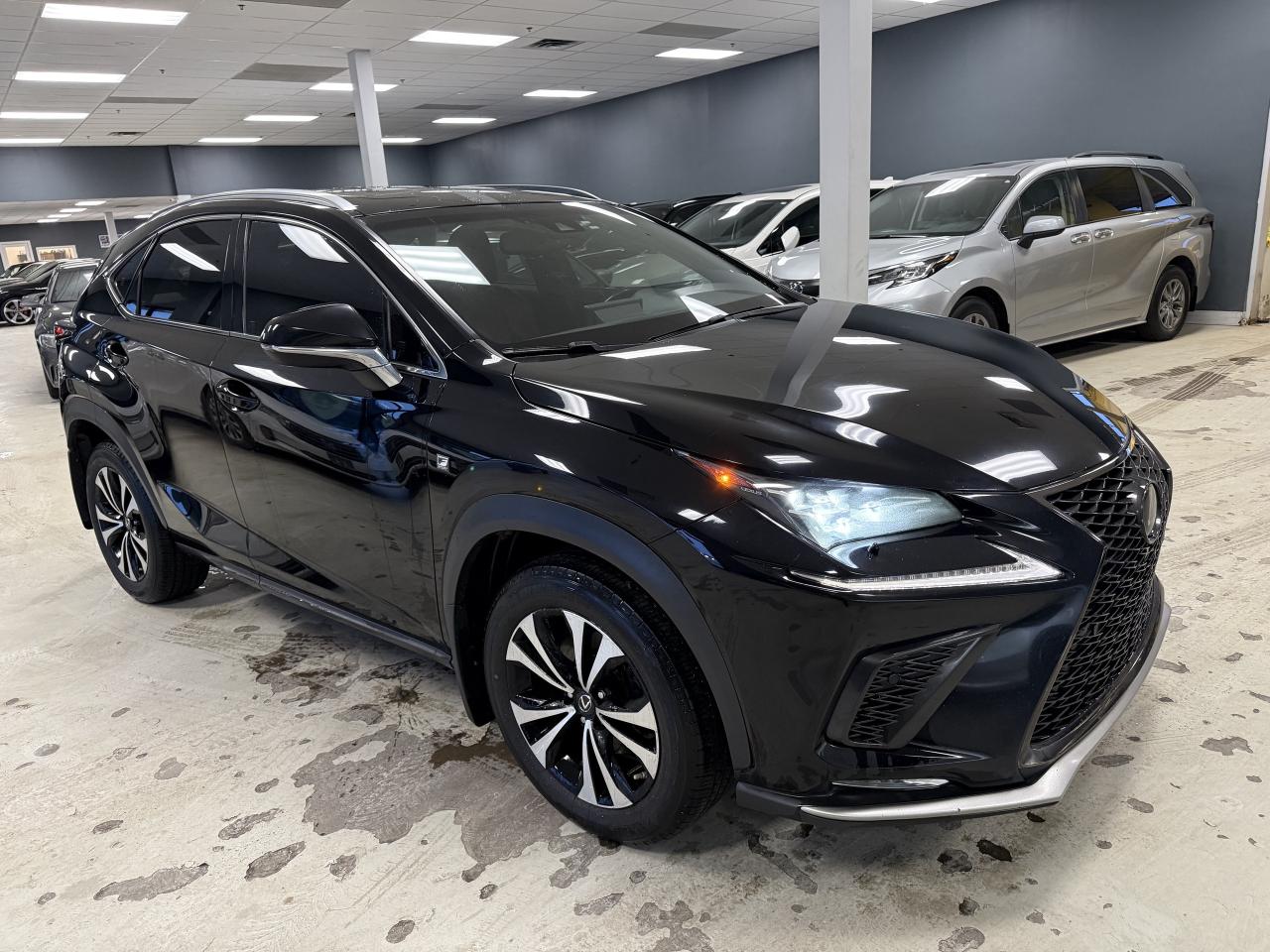2019 Lexus NX NX 300 Auto Photo