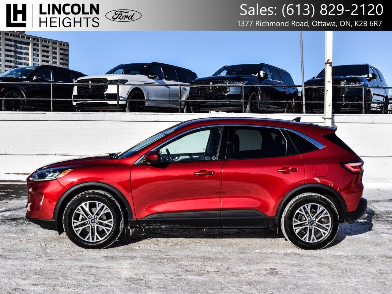 2022 Ford Escape  Photo
