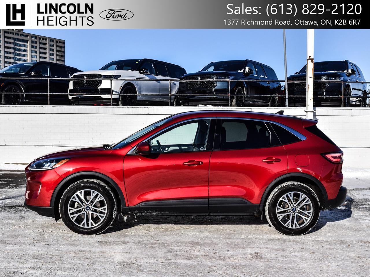 2022 Ford Escape SEL AWD Photo2