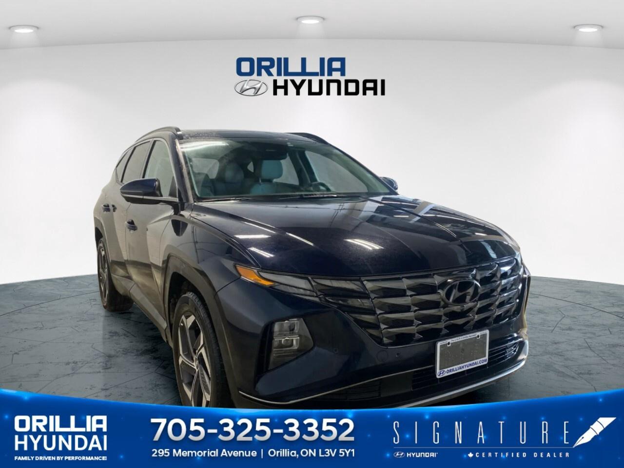 2023 Hyundai Tucson Hybrid Ultimate AWD Photo