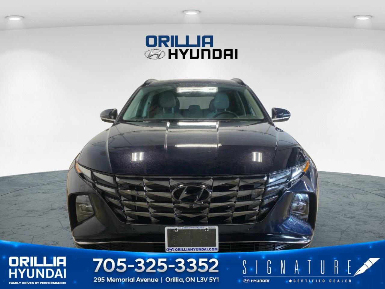 2023 Hyundai Tucson Hybrid Ultimate AWD Photo