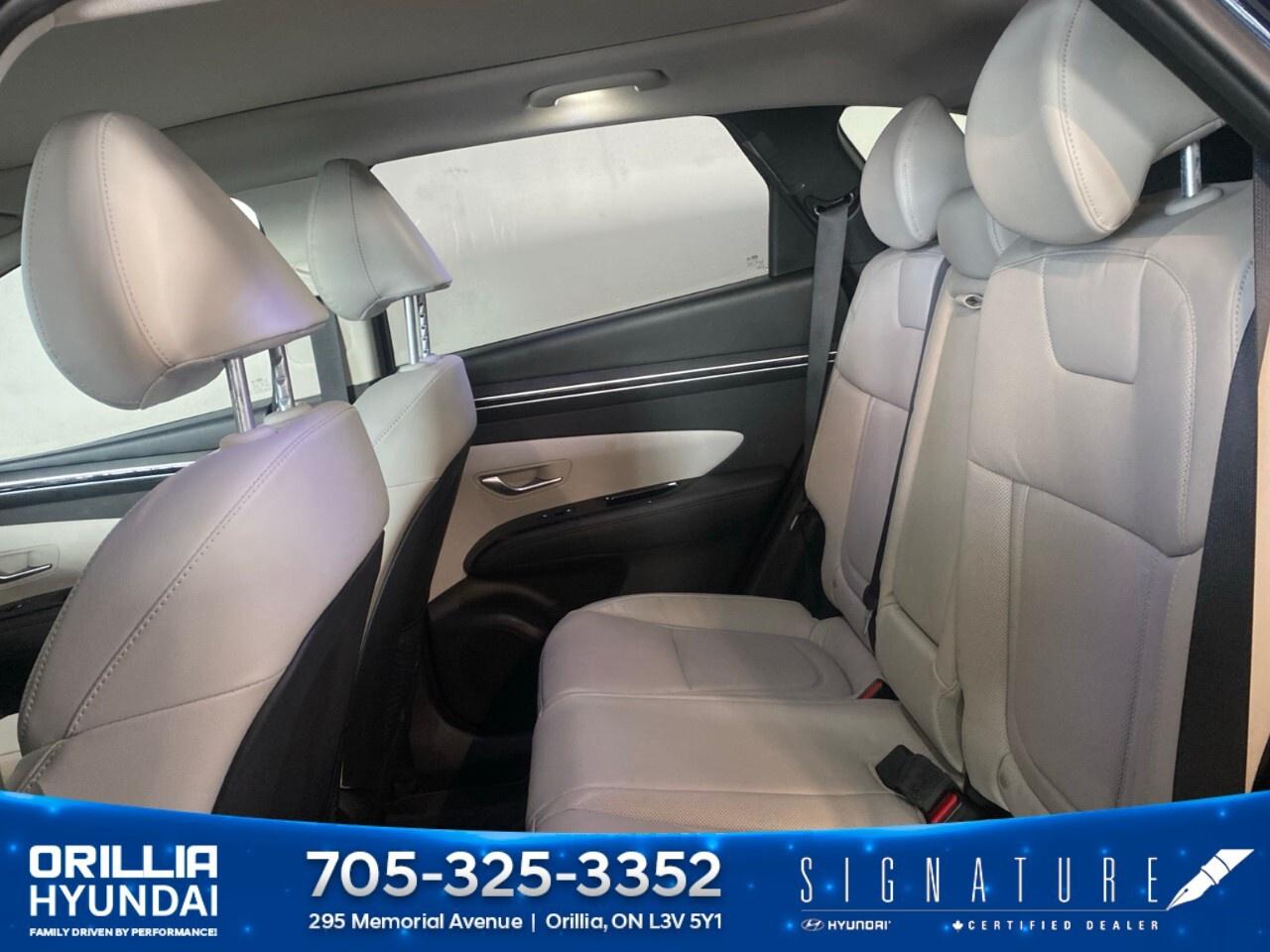 2023 Hyundai Tucson Hybrid Ultimate AWD Photo