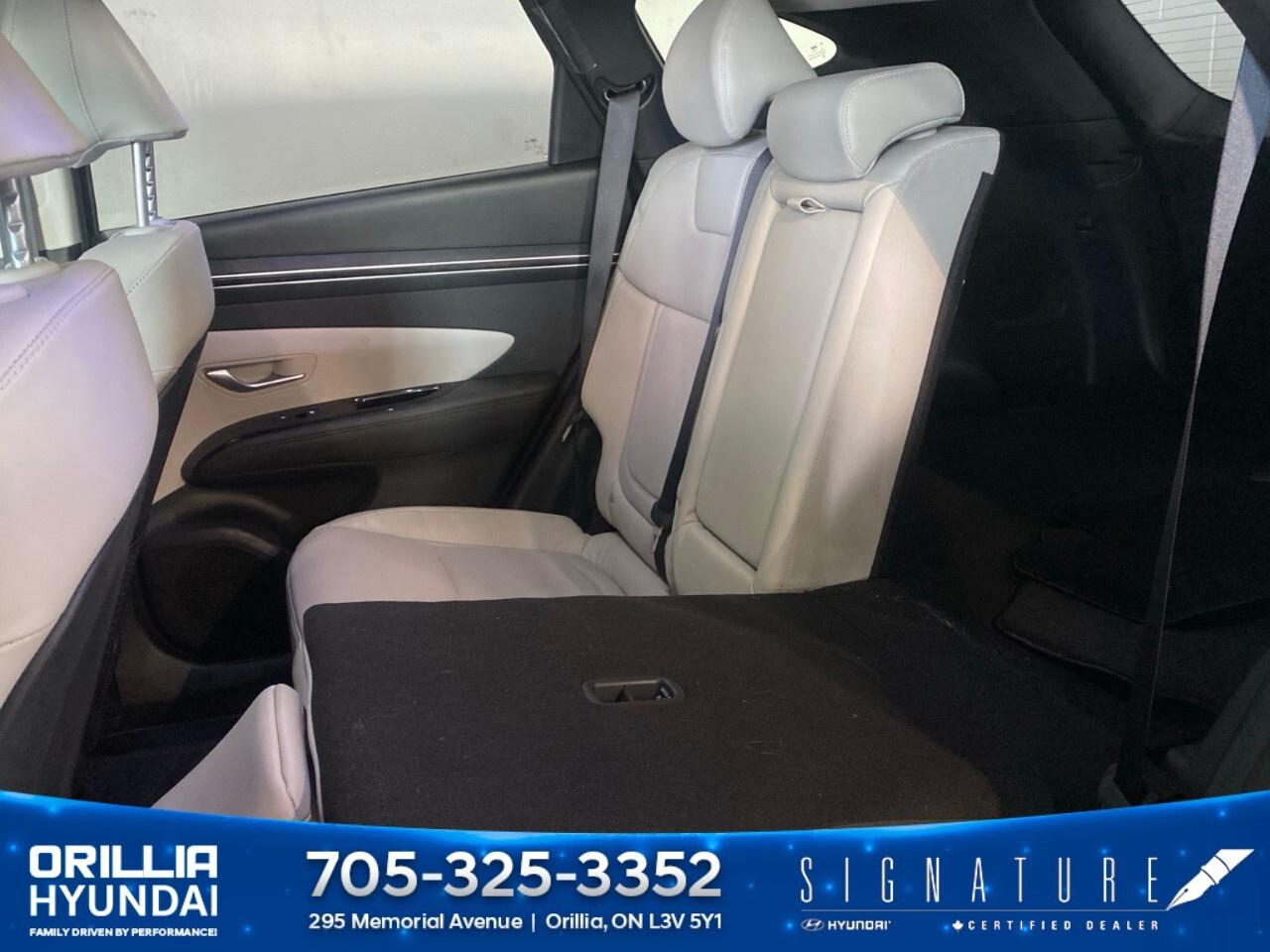 2023 Hyundai Tucson Hybrid Ultimate AWD Photo