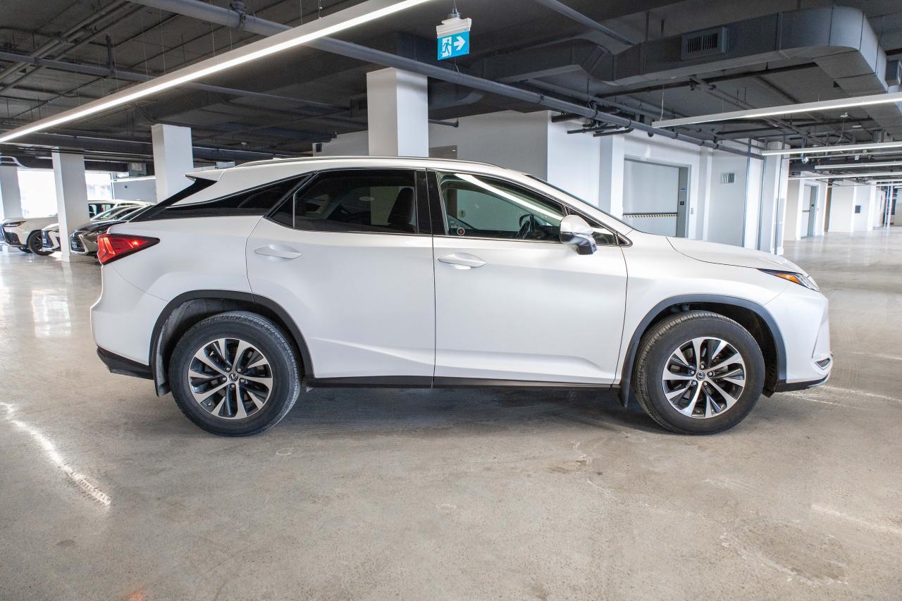 2021 Lexus RX  Photo