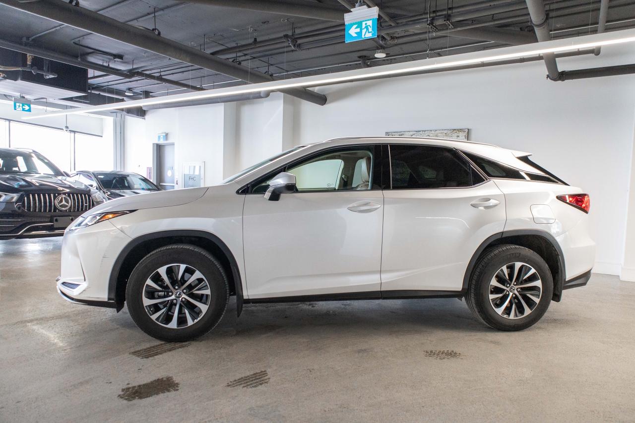 2021 Lexus RX  Photo