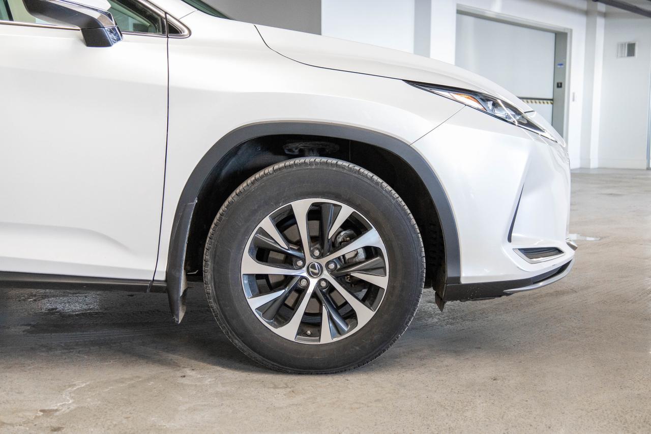2021 Lexus RX  Photo