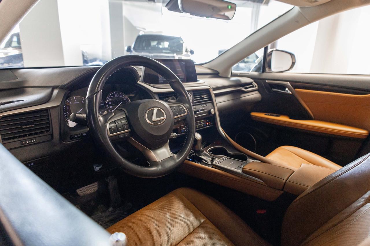 2021 Lexus RX  Photo