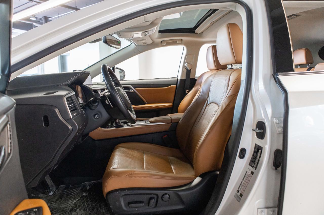 2021 Lexus RX  Photo