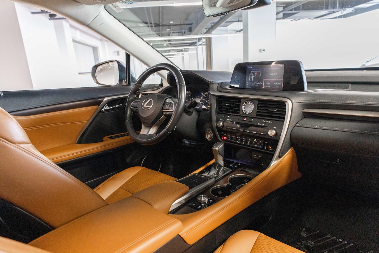 2021 Lexus RX  Photo