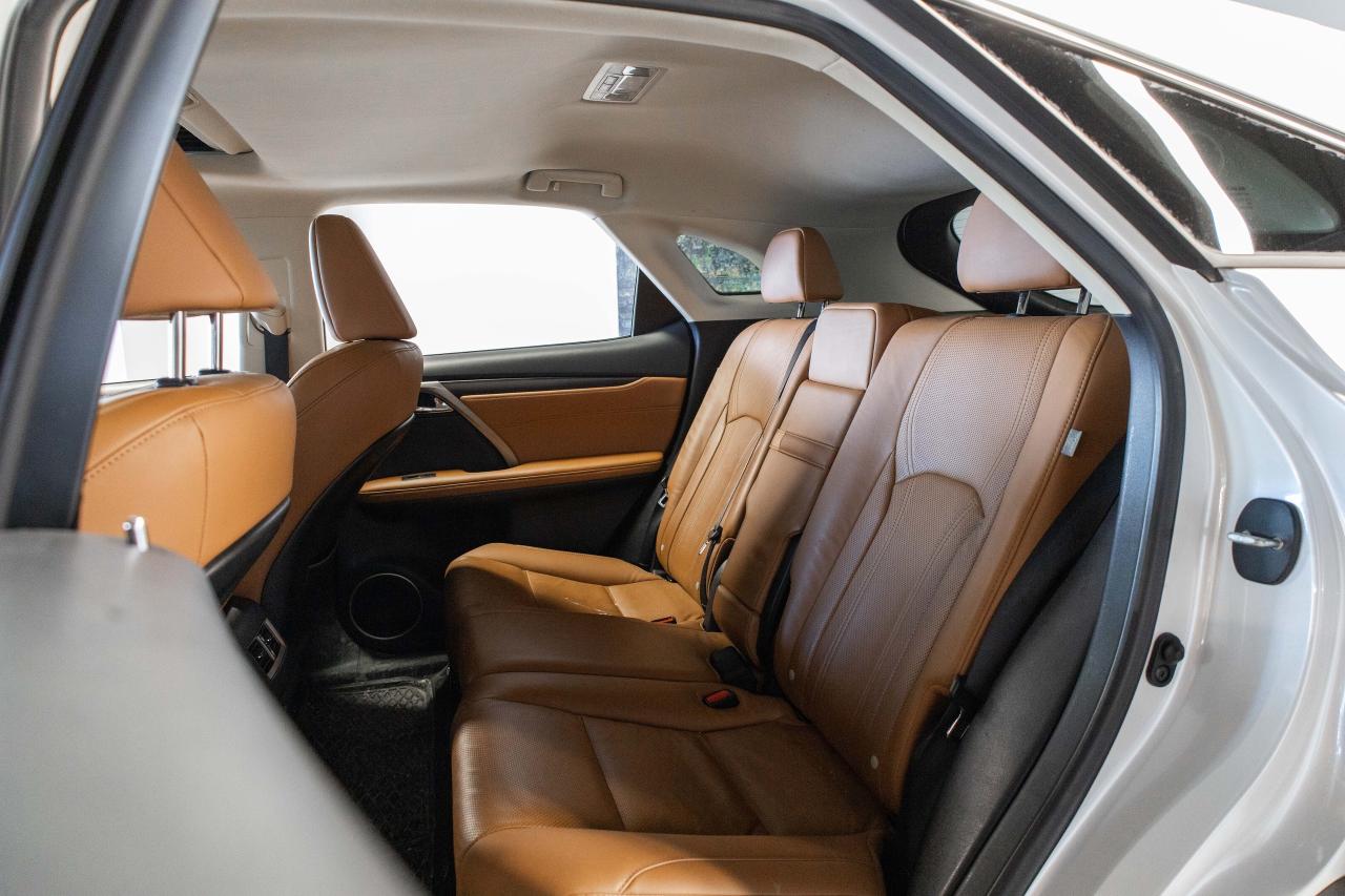 2021 Lexus RX  Photo