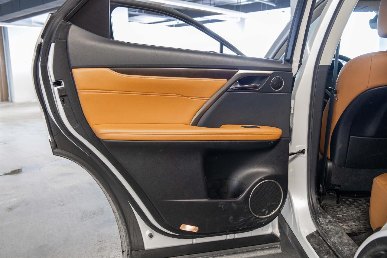 2021 Lexus RX  Photo