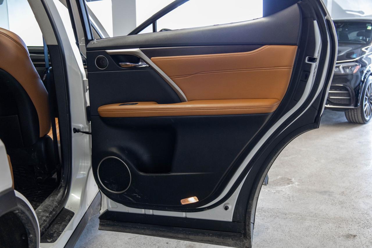 2021 Lexus RX  Photo