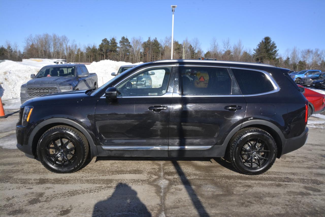 2021 Kia Telluride TELLURIDE EX Photo