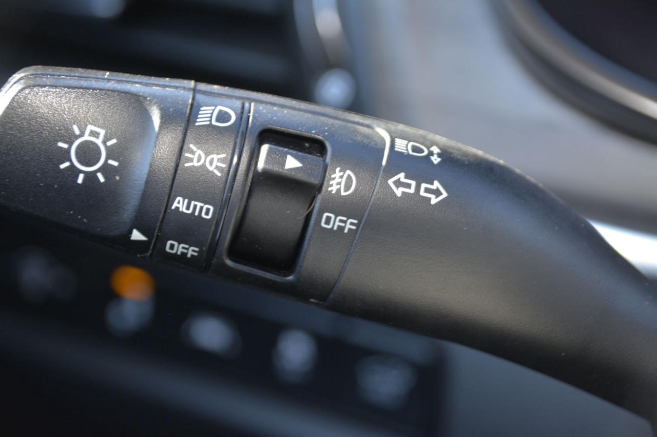 2021 Kia Telluride TELLURIDE EX Photo