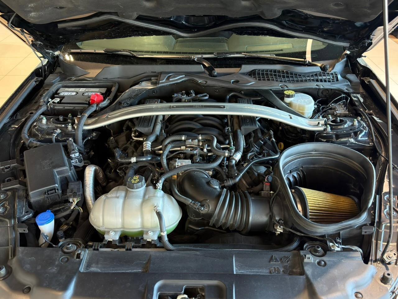 2023 Ford Mustang MACH 1 FASTBACK Photo