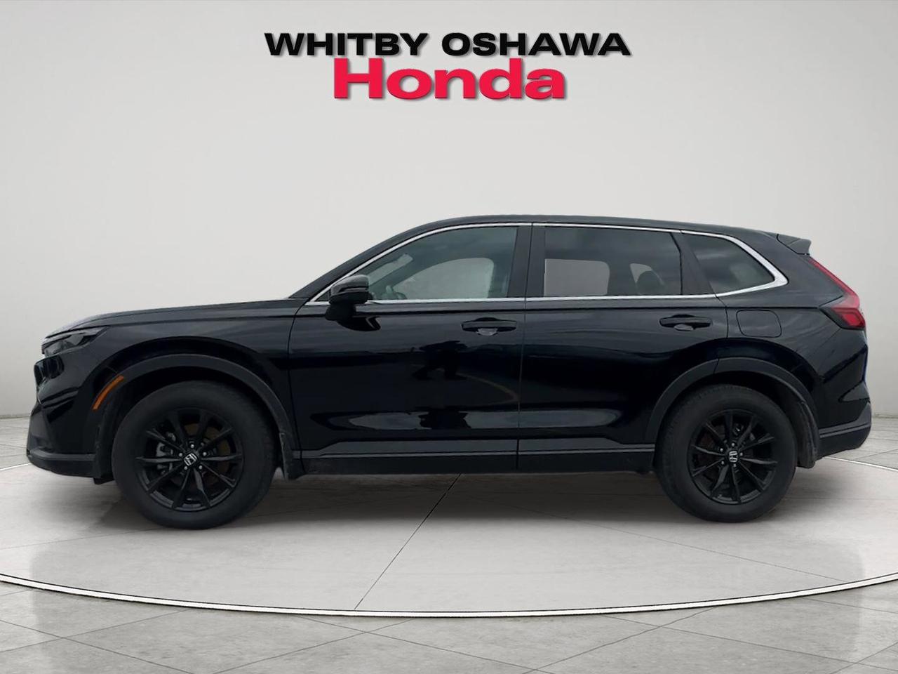 2024 Honda CR-V Hybrid EX-L Photo