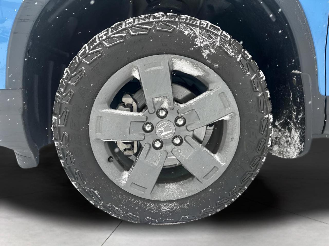 2025 Honda Ridgeline TrailSport Photo