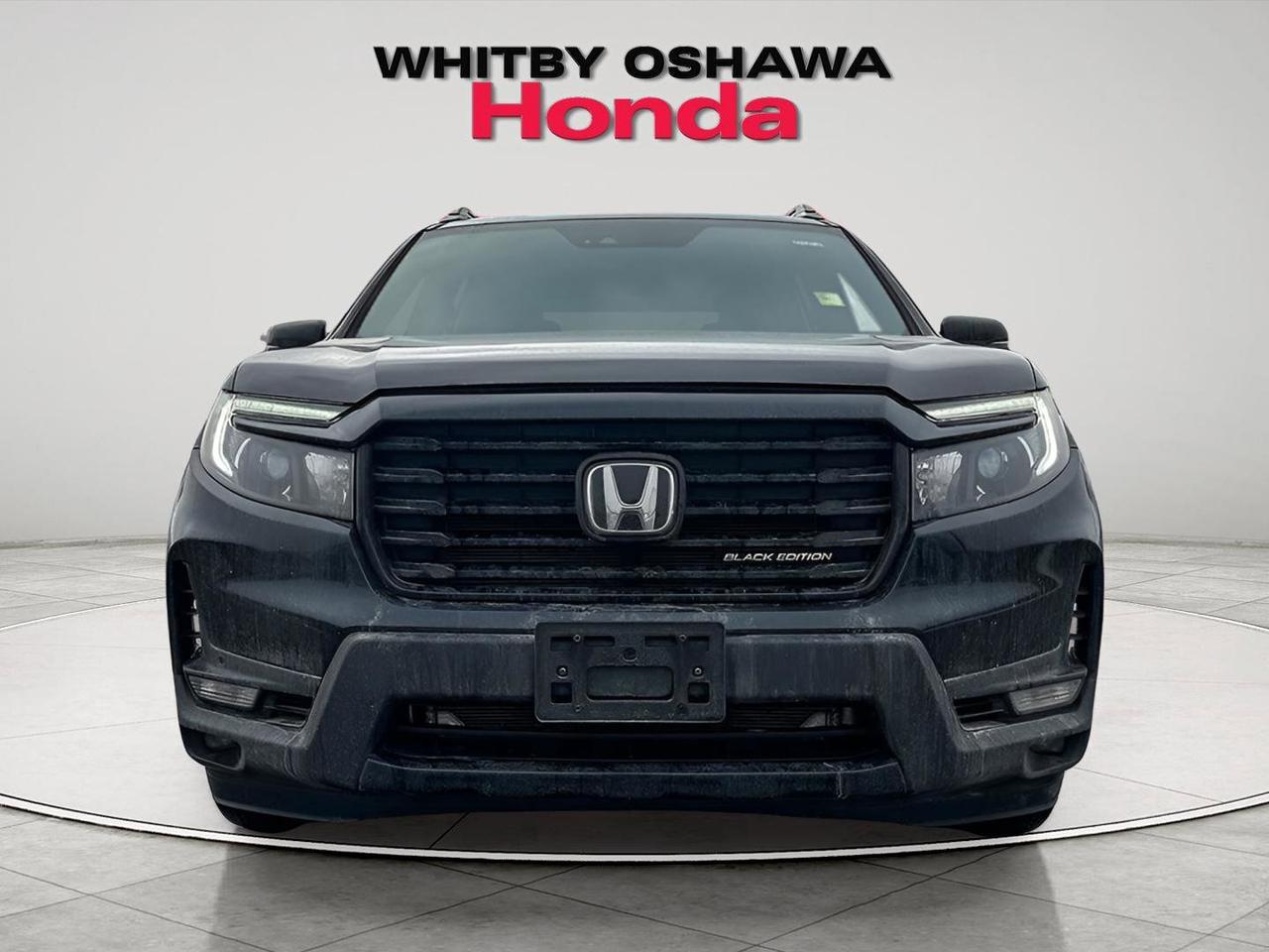 2024 Honda Passport Black Edition Photo
