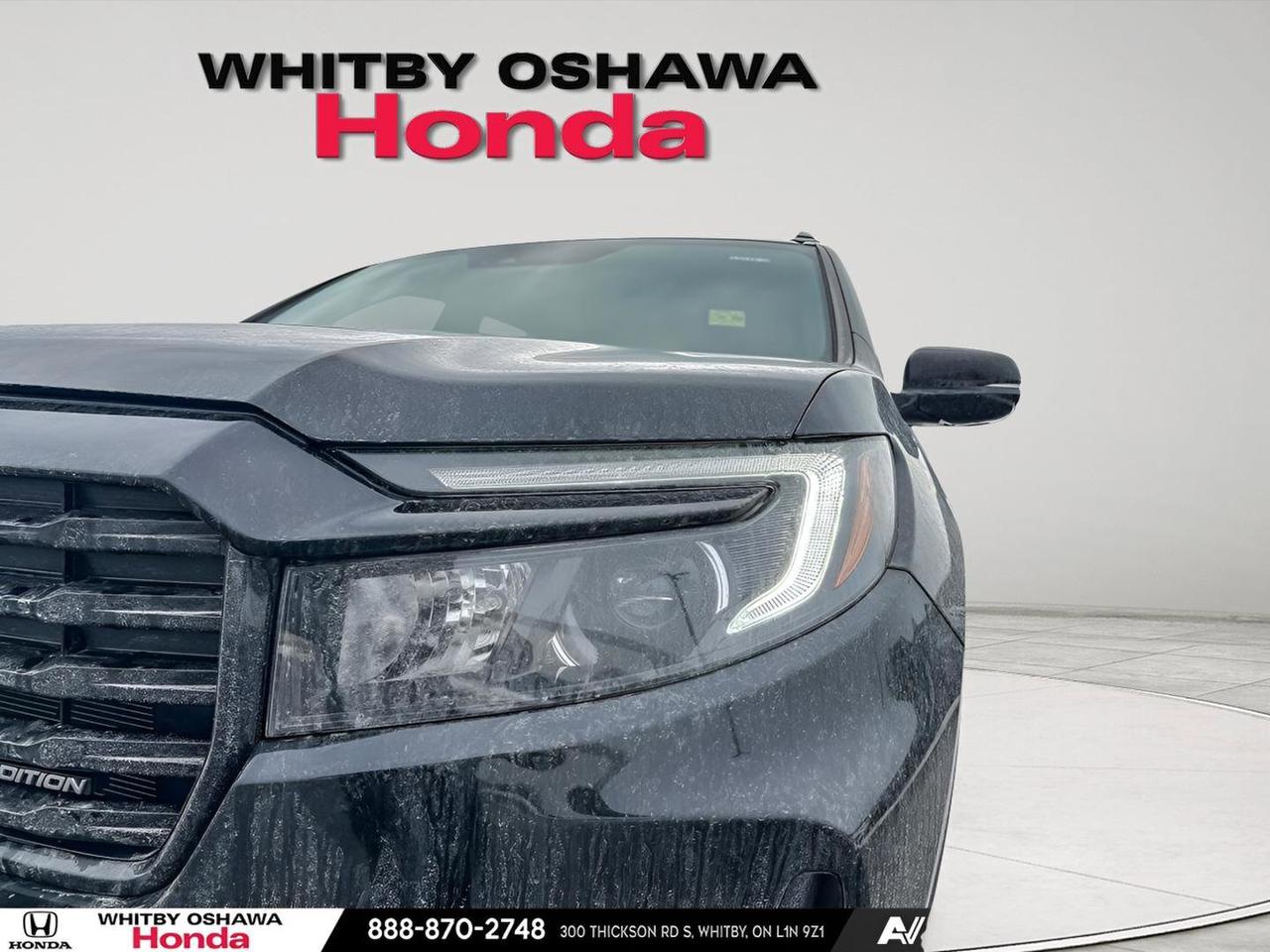 2024 Honda Passport Black Edition Photo