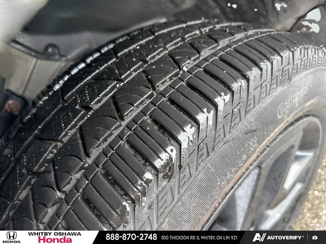 2024 Honda Passport Black Edition Photo