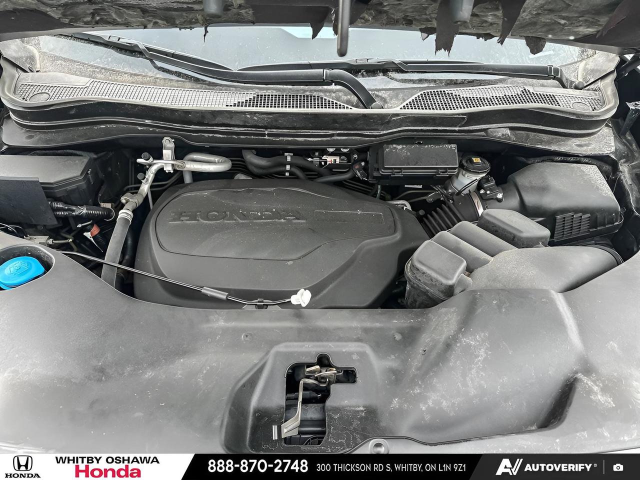 2024 Honda Passport Black Edition Photo