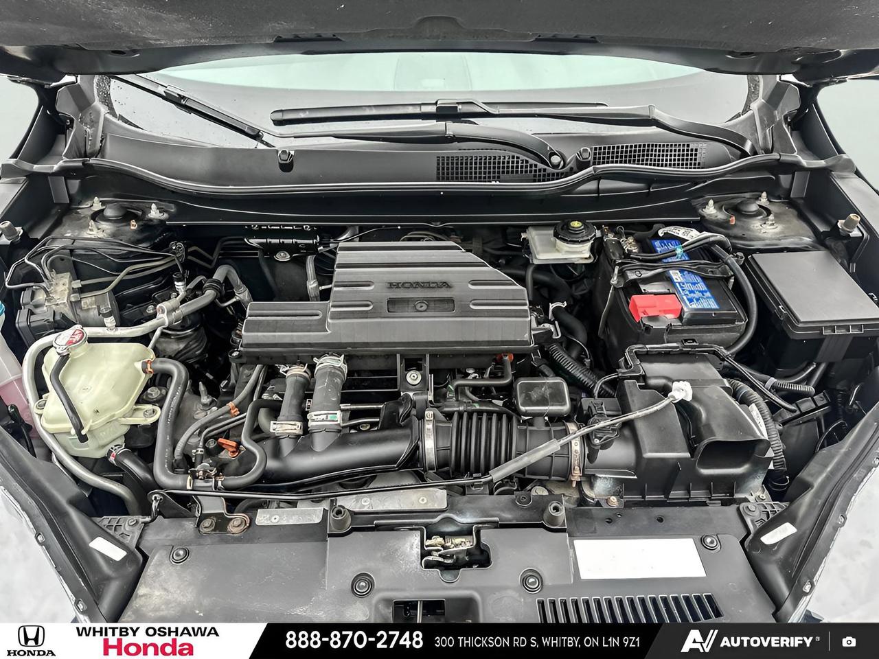 2021 Honda CR-V LX Photo