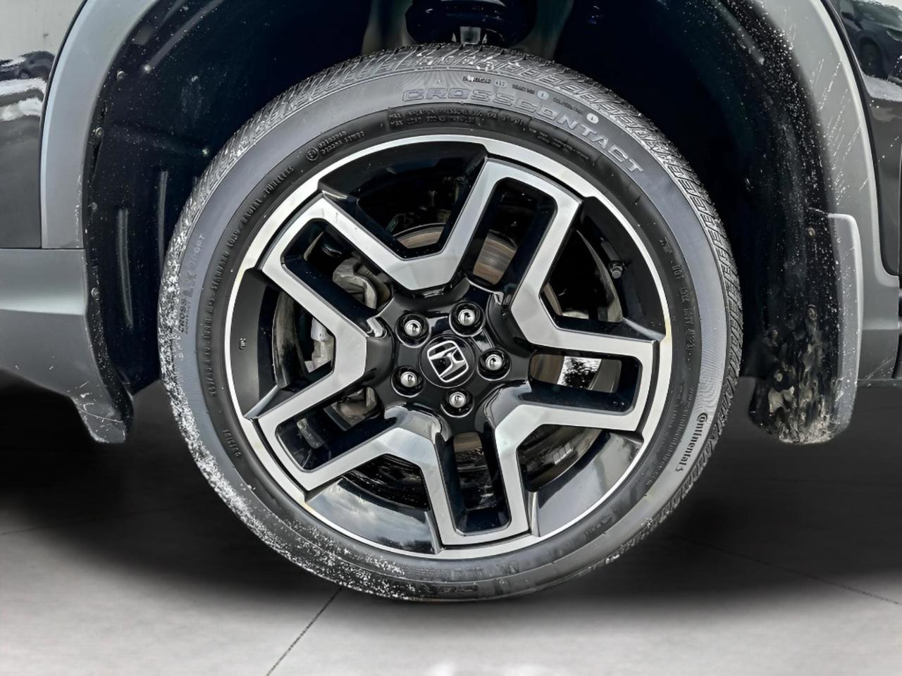 2023 Honda Passport Touring Photo