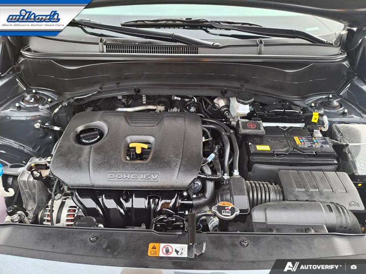 2025 Kia Seltos EX Premium AWD | Leather | Sunroof | Smart Cruise | Nav | Power Seat | Cooled Seats and More ! Photo