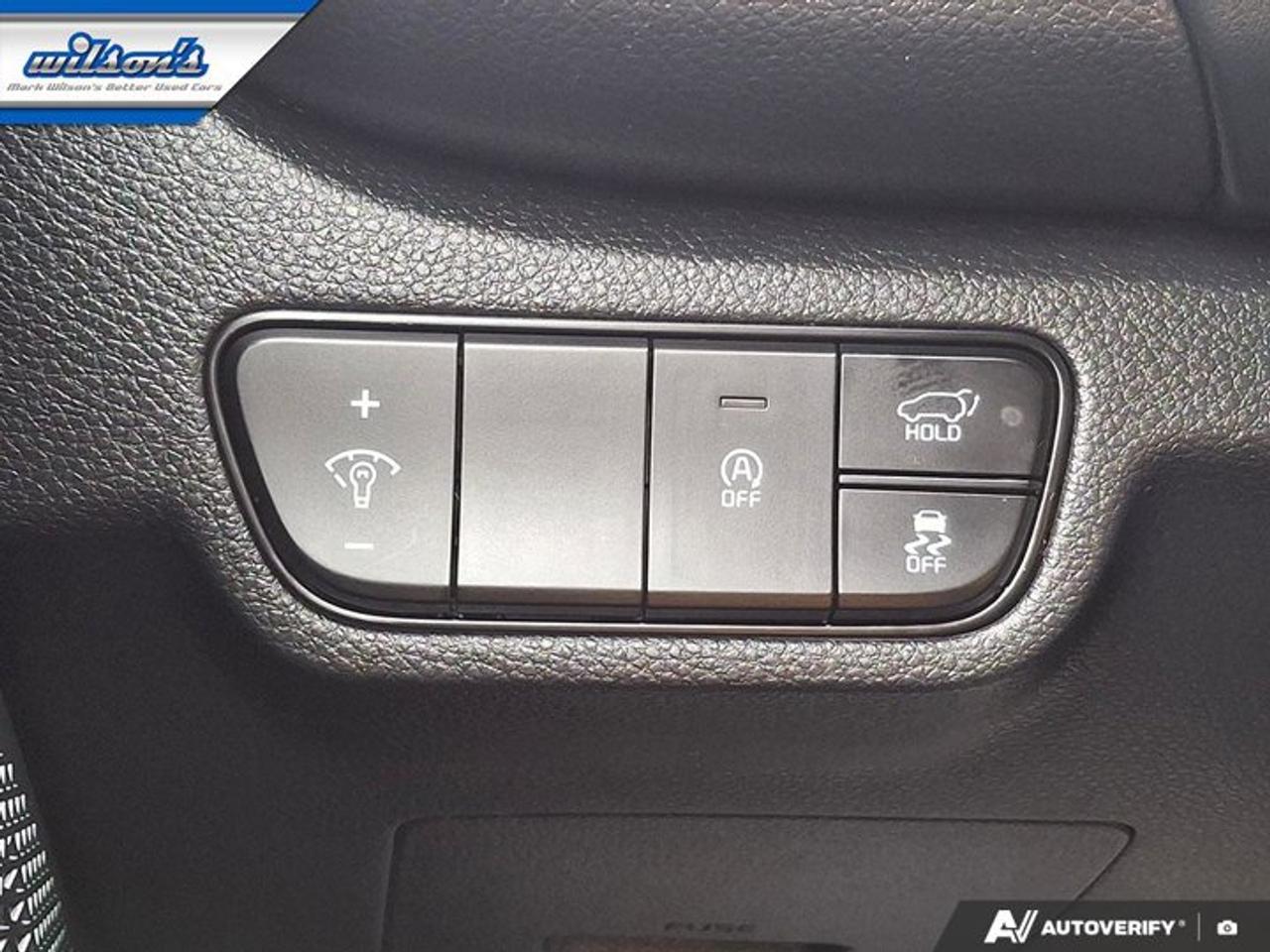 2025 Kia Seltos EX Premium AWD | Leather | Sunroof | Smart Cruise | Nav | Power Seat | Cooled Seats and More ! Photo