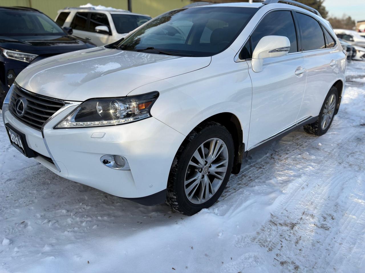2014 Lexus RX 350 LEATHER,SUNROOF,NAV,B/U CAM,NO ACCIDENT,SAFETY INC Photo