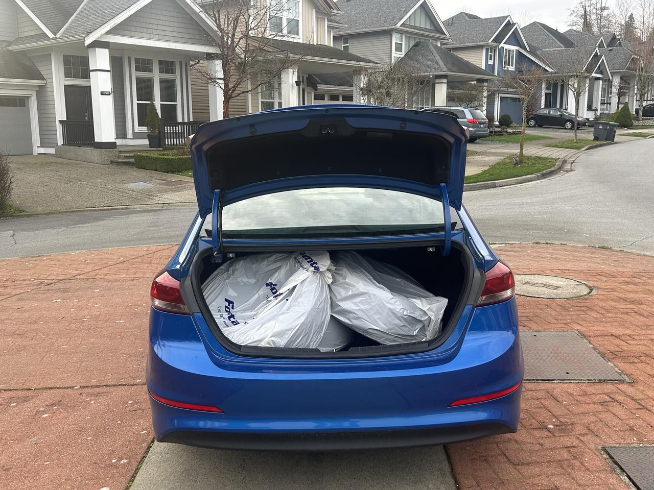 2017 Hyundai Elantra GLS - Photo #8