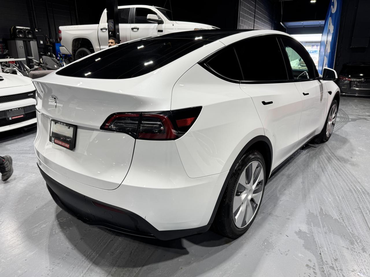 2023 Tesla Model Y RWD STANDARD RANGE Photo