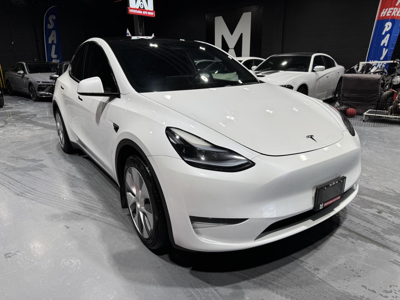 2023 Tesla Model Y RWD STANDARD RANGE Photo2